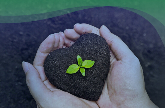 Imagem de ilustração São Martinho